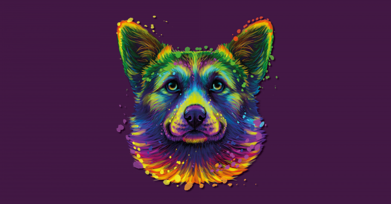 Trauma, poverty, and Chile’s first dog